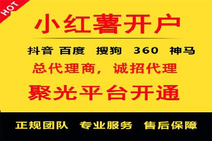 某行业巨头背后的SEM代运营托管公司